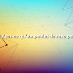 Question : Qu’est-ce qu’un poulet de race patrimoniale ?